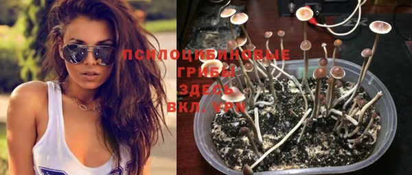прущая мука Белоозёрский