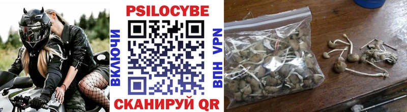 цена   Власиха  сайты даркнета официальный сайт  Псилоцибиновые грибы GOLDEN TEACHER 